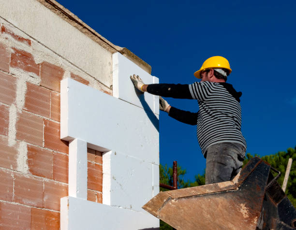 Best Insulation Replacement Services  in East Troy, WI